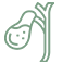 Surgery for Gallstones